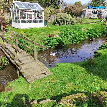 Tree Fern Barn Villa St Austell Dış mekan fotoğraf