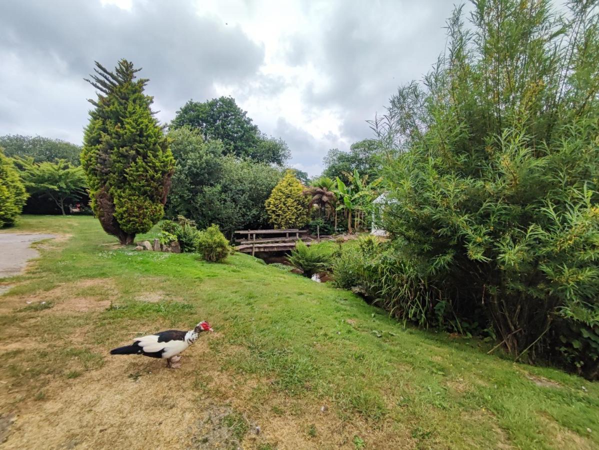 Tree Fern Barn Villa St Austell Dış mekan fotoğraf