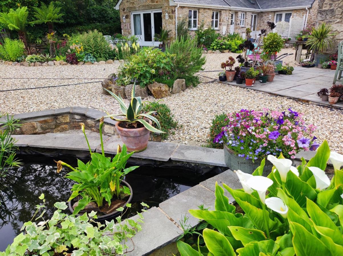 Tree Fern Barn Villa St Austell Dış mekan fotoğraf